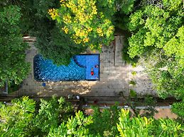 Thennal Jungle Camp Pvt Ltd