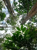 Thennal Jungle Camp Pvt Ltd