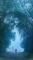 Thennal Jungle Camp Pvt Ltd