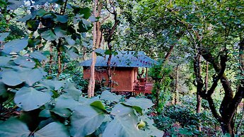 Thennal Jungle Camp Pvt Ltd