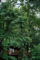 Thennal Jungle Camp Pvt Ltd