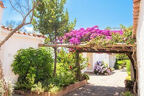 Amasea Resort