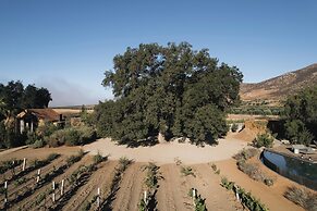 Bruma Wine Resort