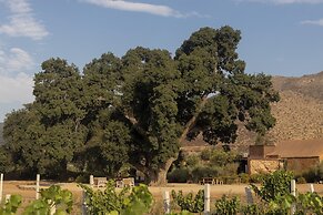 Bruma Wine Resort