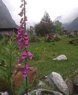 FLORET RESORT LACHUNG