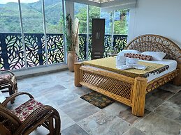 Finca Don Matias
