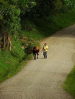 Miztli Lodge & Adventures