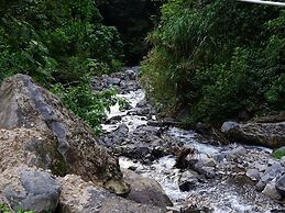 Miztli Lodge & Adventures