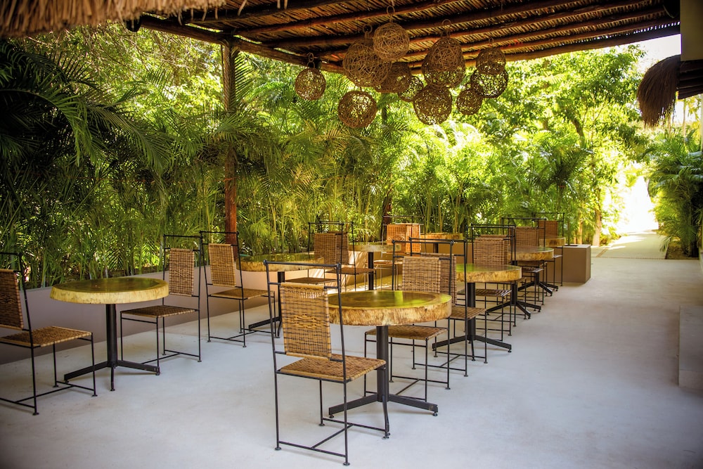 Magical Hotel In Akumal Beach