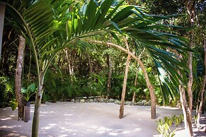 Magical Hotel In Akumal Beach