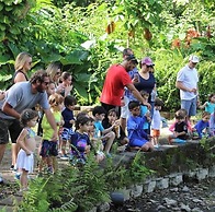 Jardin al Bosque