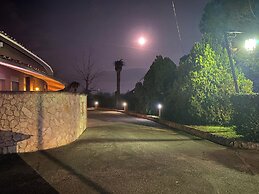 American Motel