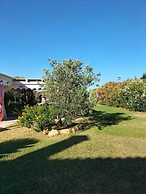 Vialla Daniela