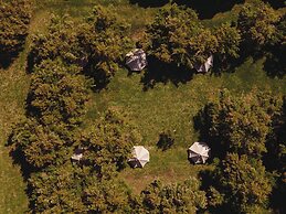 Bearsu Nature Almoxarife
