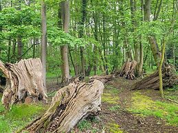 Hay's Wood Retreat