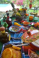 San Felipe Lodge Birding & Wellness