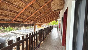 Soi Bacalar