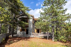 Troodos Mature Pine Chalet