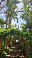 Asha Boutique Hotel