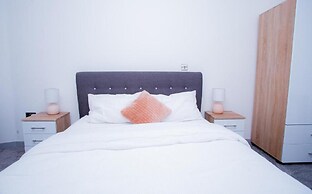 Spacious Urban City Apartment