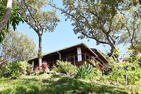 Mango Creek Resort