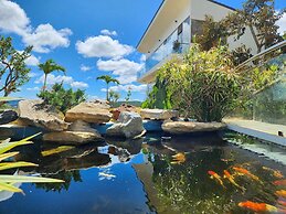 KND View Trieu May
