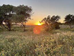 Tranquilo Glamping