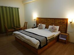Marigold Ladakh