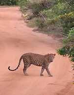Black Panther Yala