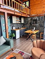 Novella Bungalov