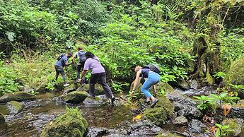 Janibichi adventures hostel