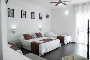 B&B Ortensia