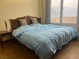The Sparkling Turtle Backpackers Hostel