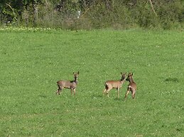 le domaine des sources