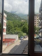 Vila barajič