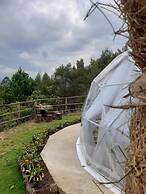 Glamping El Mirador de las Estrellas
