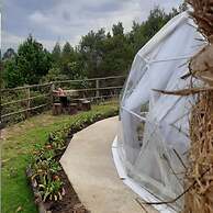Glamping El Mirador de las Estrellas