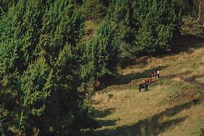 Glamping El Mirador de las Estrellas