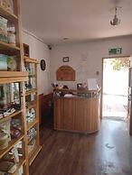 Palm Hostal