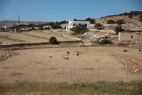 Soley Naxos