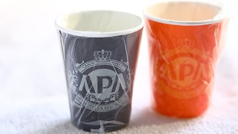 APA Hotel Kyoto Gojo Omiya