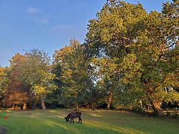 Coundon Lodge