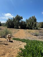 Rancho Dominique Valle de Guadalupe