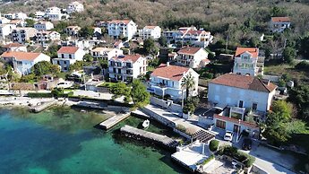 Waterfront Apartment Petrovina