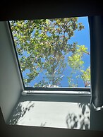 J Youai House