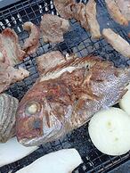 nagi-setouchi