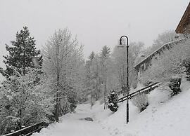 Pet-friendly Mountain Home
