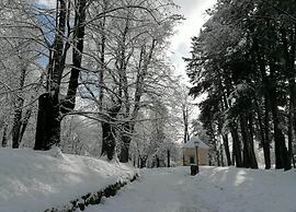 Pet-friendly Mountain Home