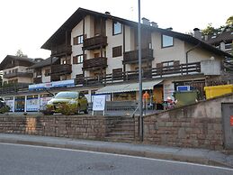 Pet-friendly Mountain Home