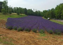 Spacious Hillstay, Piedmont